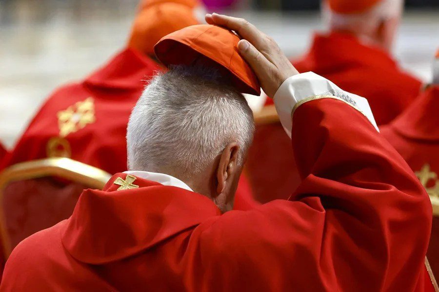 Vista de un cardenal que participa en un oficio religioso, el 30 de abril de 2025, en la Basílica de San Pedro, en el Vaticano. EFE/Fabio Frustaci