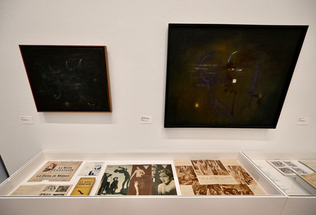 Imágenes de sala de la exposición