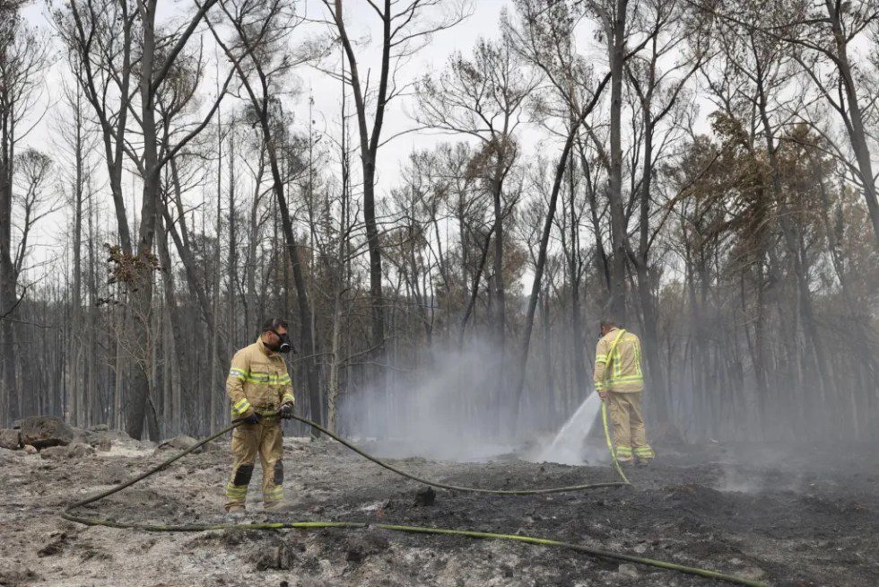 Bomberos en un incendio en la zona de Latrun, en el centro de Israel