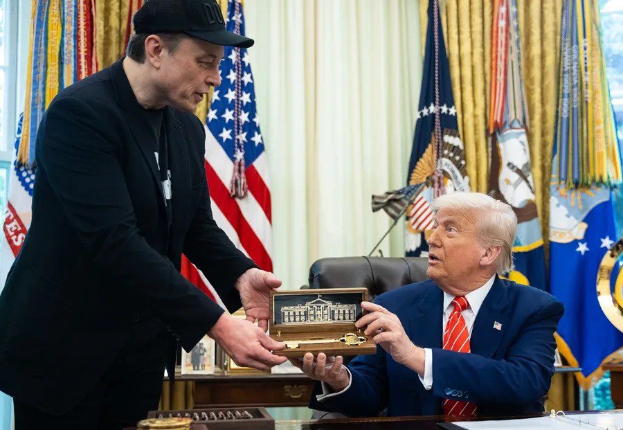 Trump Musk