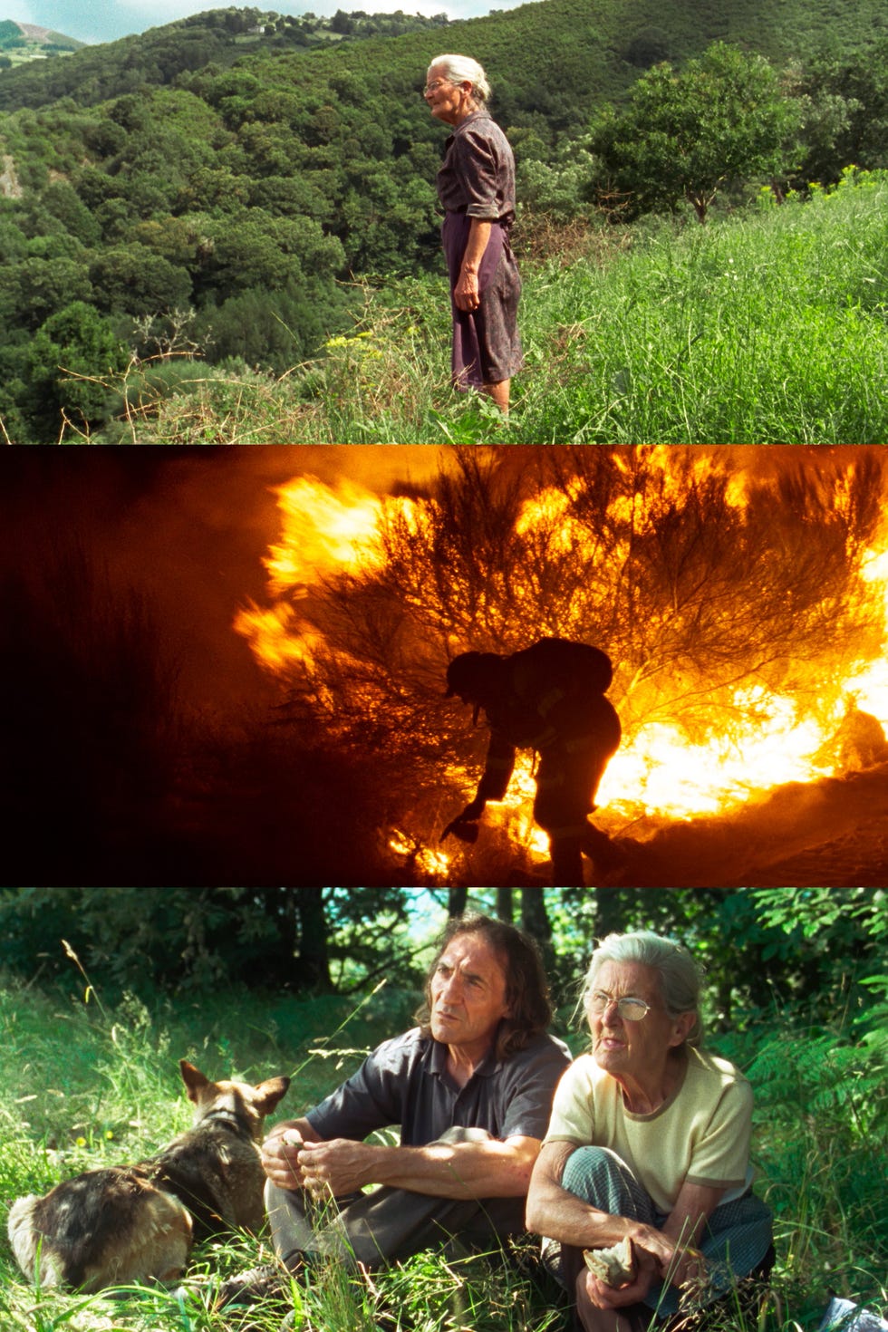 lo que arde lo que arde