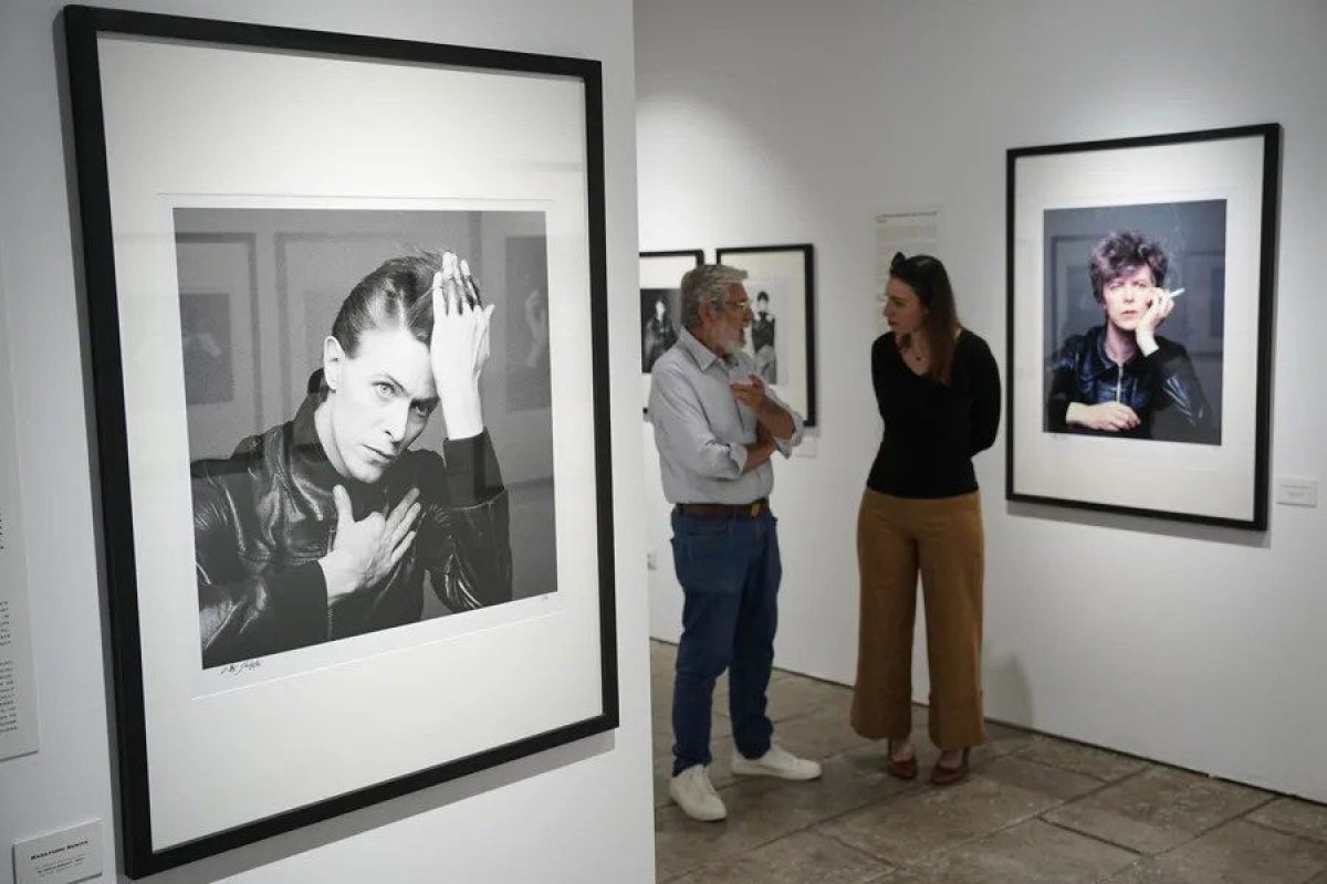 Bowie2.webp