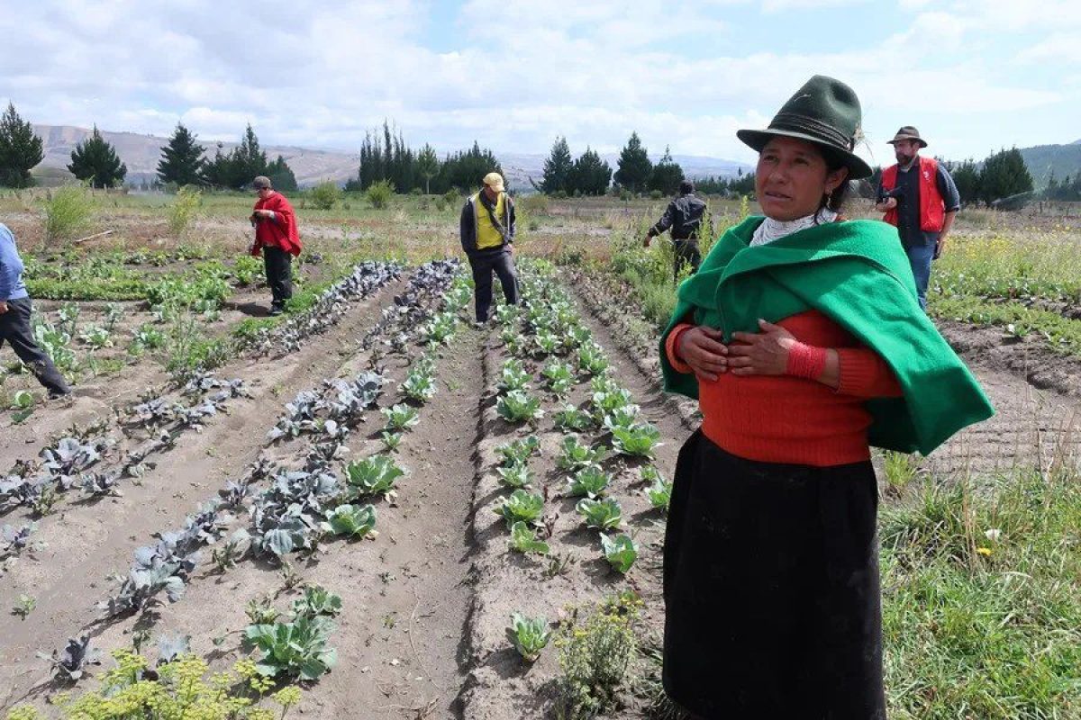 Ecuador-agricultura-2.webp