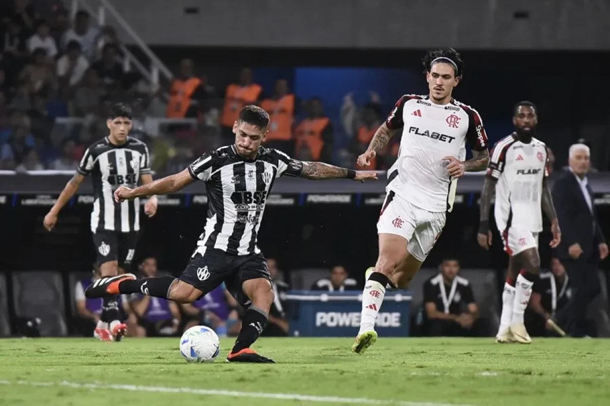 FLAMENGO.webp
