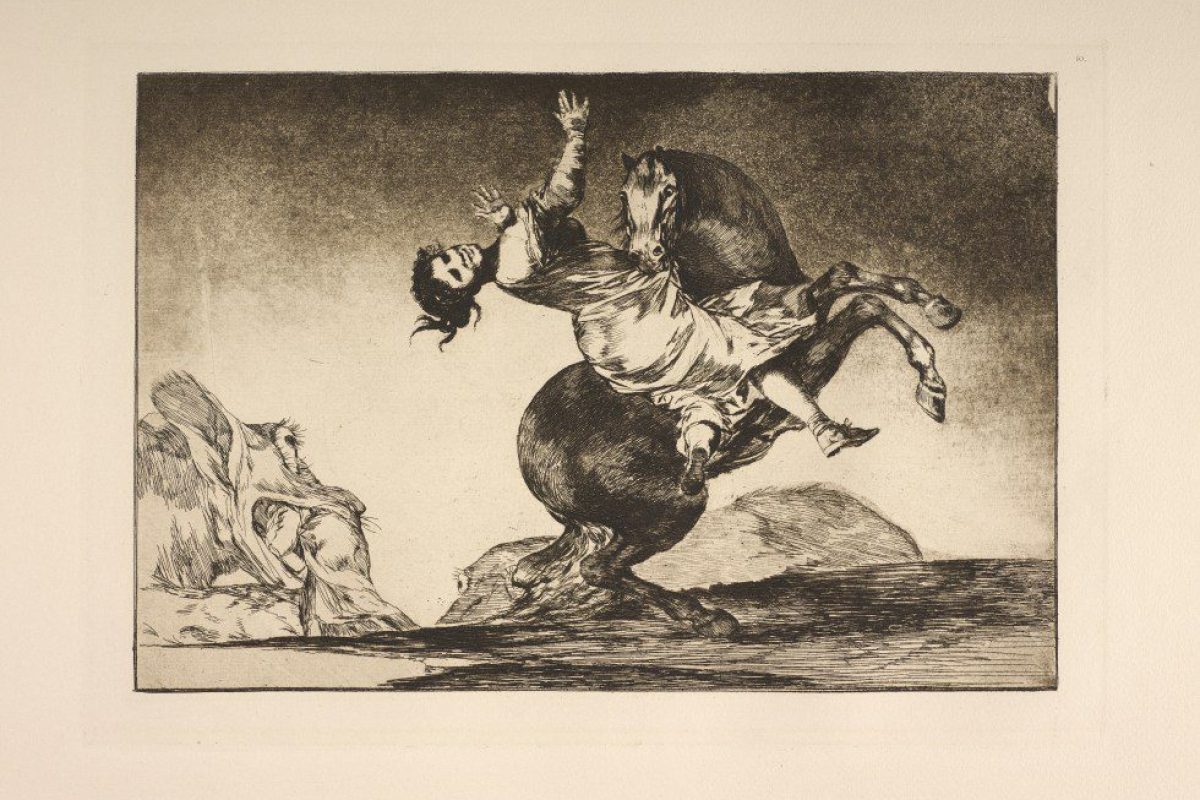 Goya-1.webp