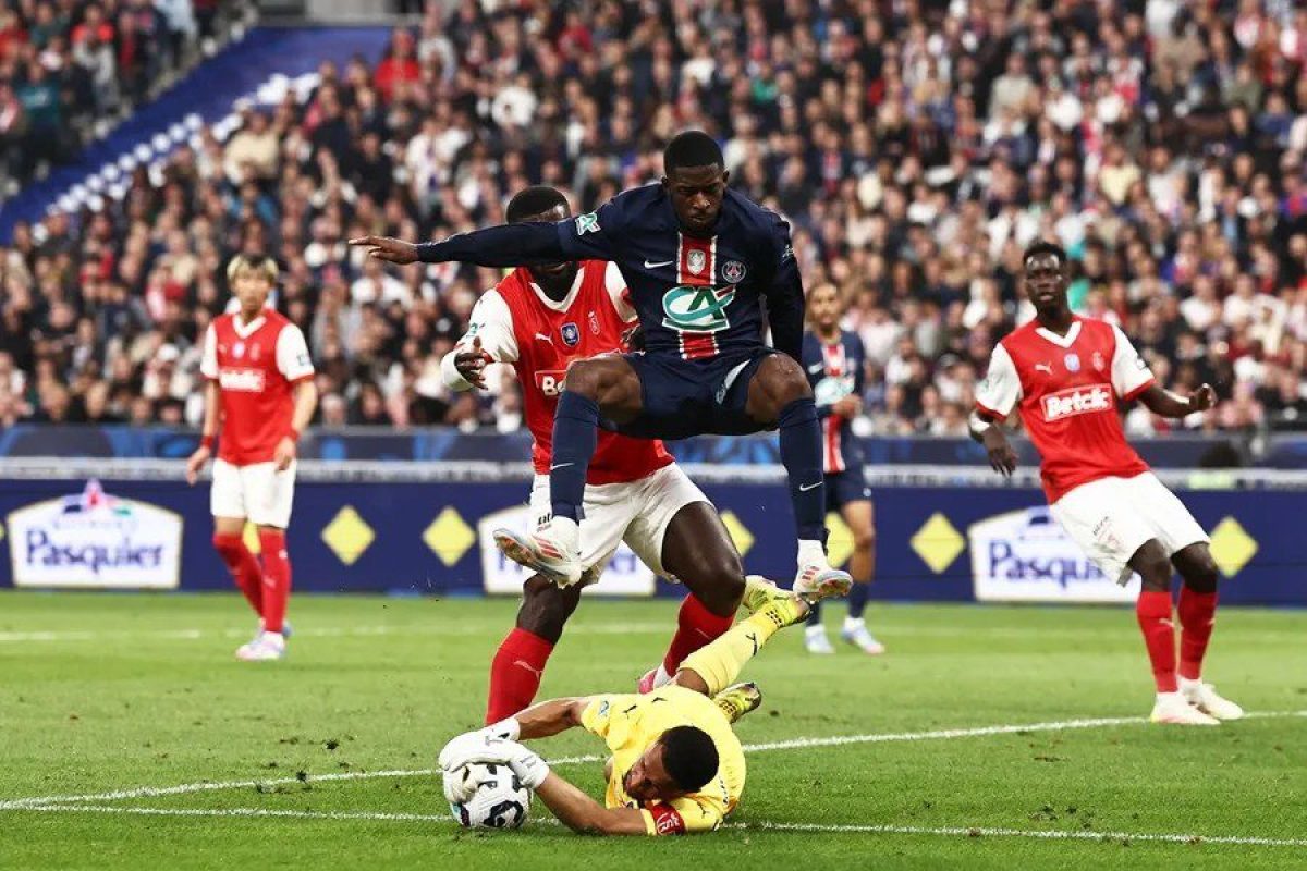 PSG3.webp