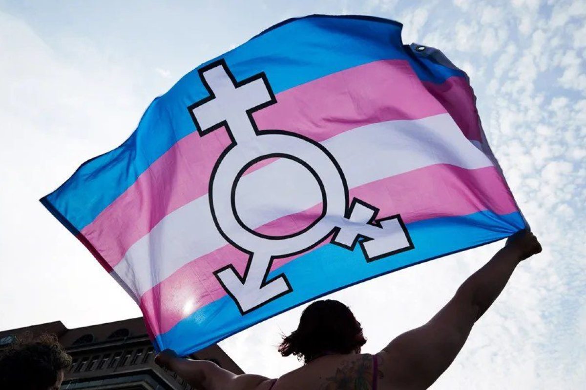 homofobia.webp