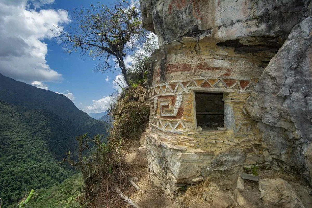 selva.webp